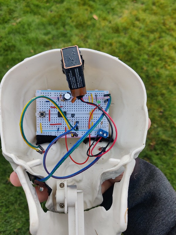 Circuit Assembly with of Red LED Blinking
