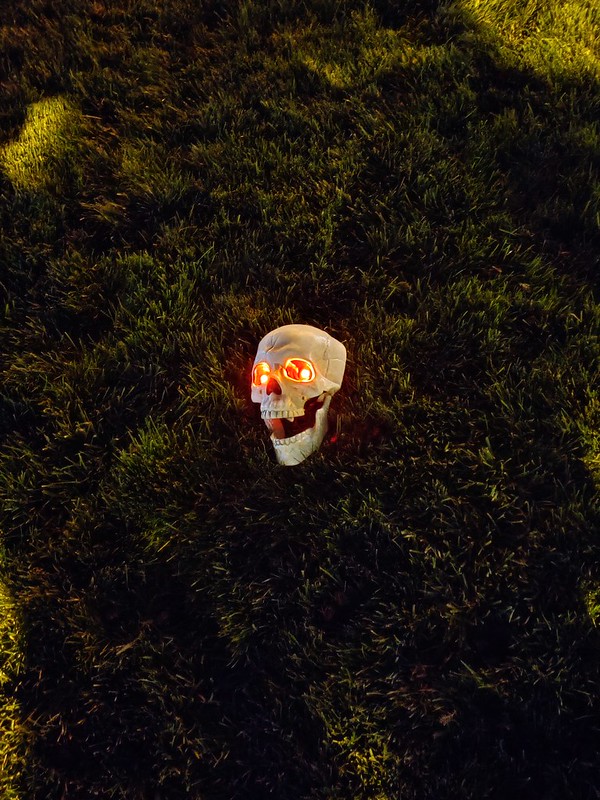 Skull with Blinking Red Eyes for Halloween